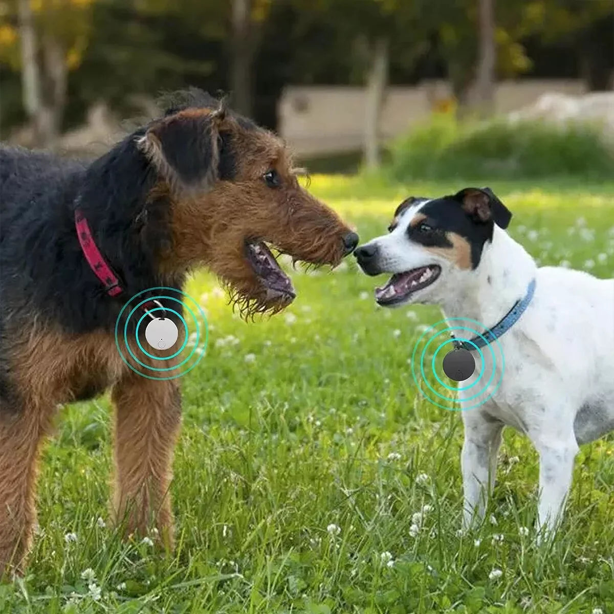 Bluetooth 5.3 Mini GPS Tracker - Real-Time Location Tracking for Kids, Pets, Keys & Lost Items”
