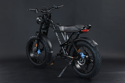 Ebike,750W Motor,48V15.6Ah Battery,20 Inches,Maximum Speed 45KM