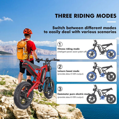 EU UK US Warehouse Hidoes B6 Electric Bike 1200W Motor with 15AH Lithium Battery Electric Bike 20&quot; Fat Tire E - Bike - Shengyao Chuangqi (HK) International Limited